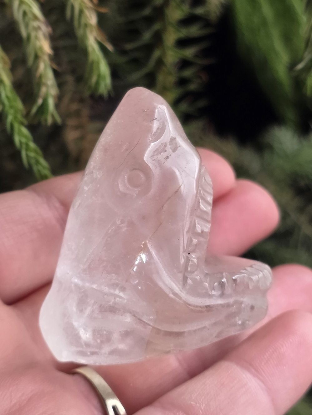 Clear Quartz Shark Head Carving Crystal Jaw Figurine Raw Look Statement Piece